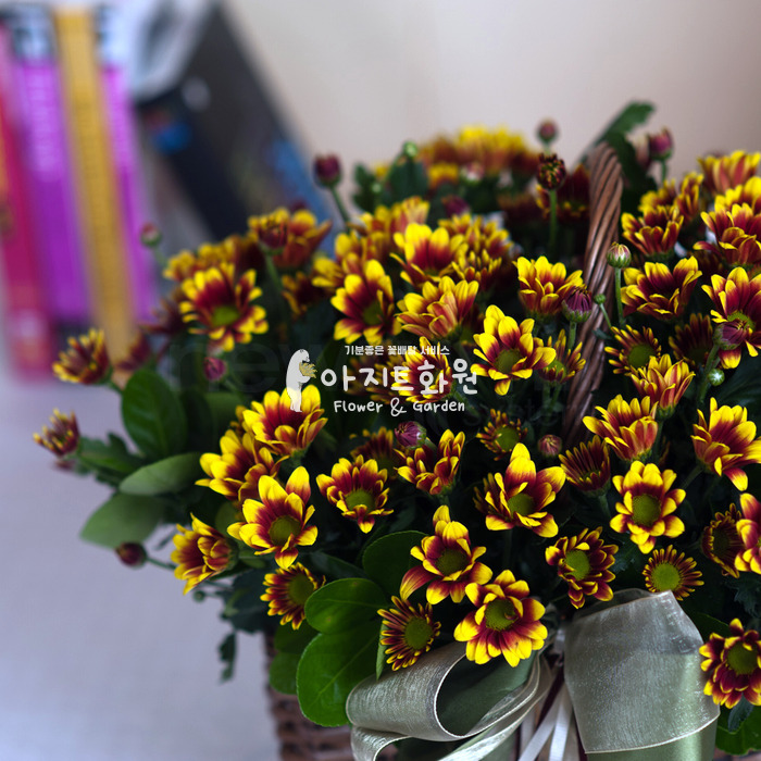 상세이미지