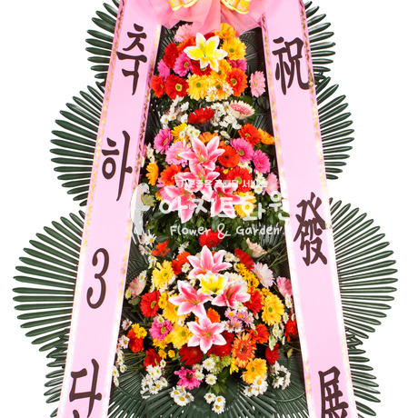 축하3단 기본