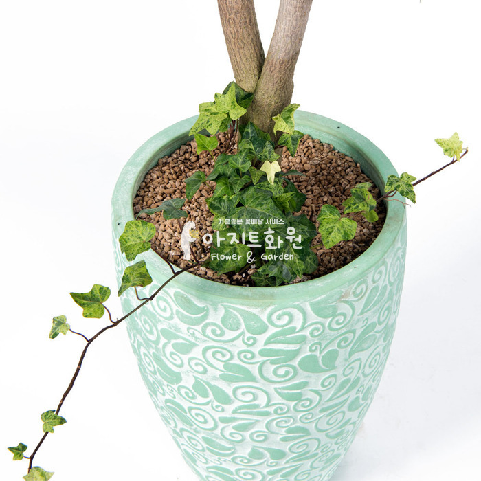 상세이미지