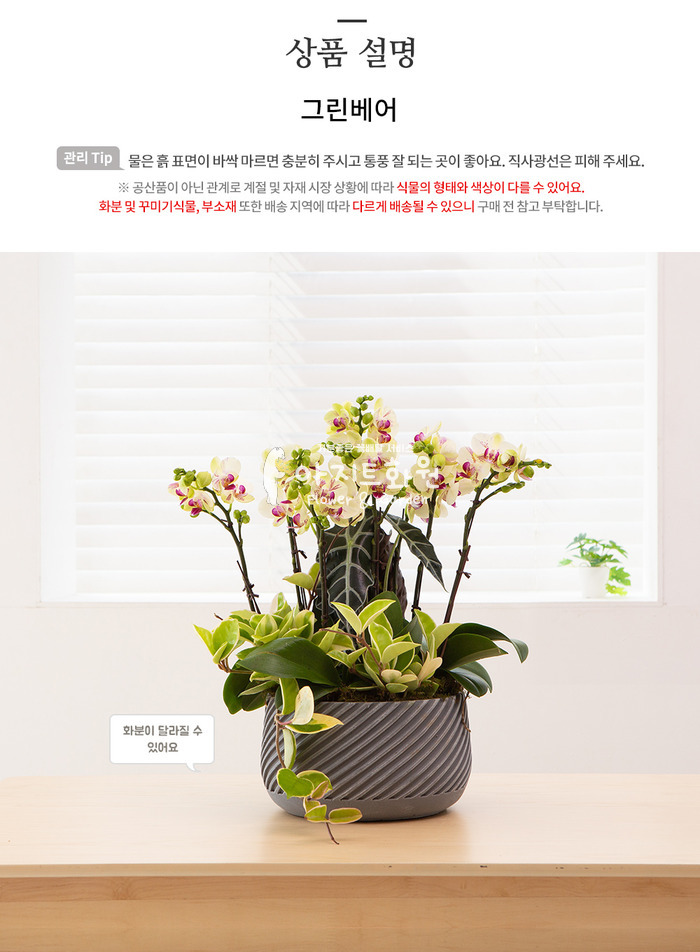 상세이미지