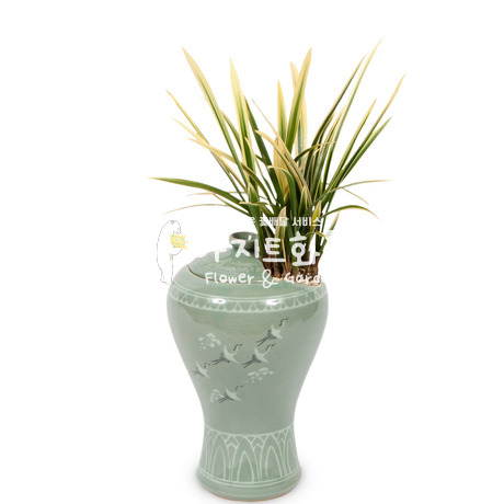 청자분태양금 351e