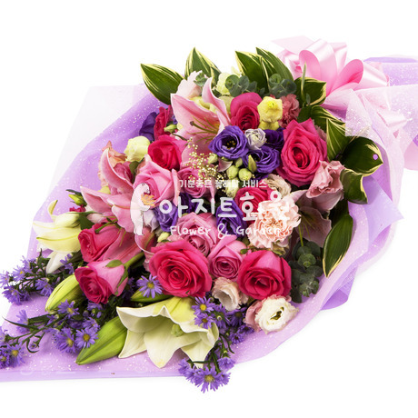 항상 너만 응원할게♡