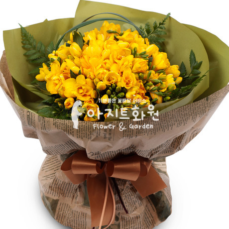 봄의 여신 프리지아