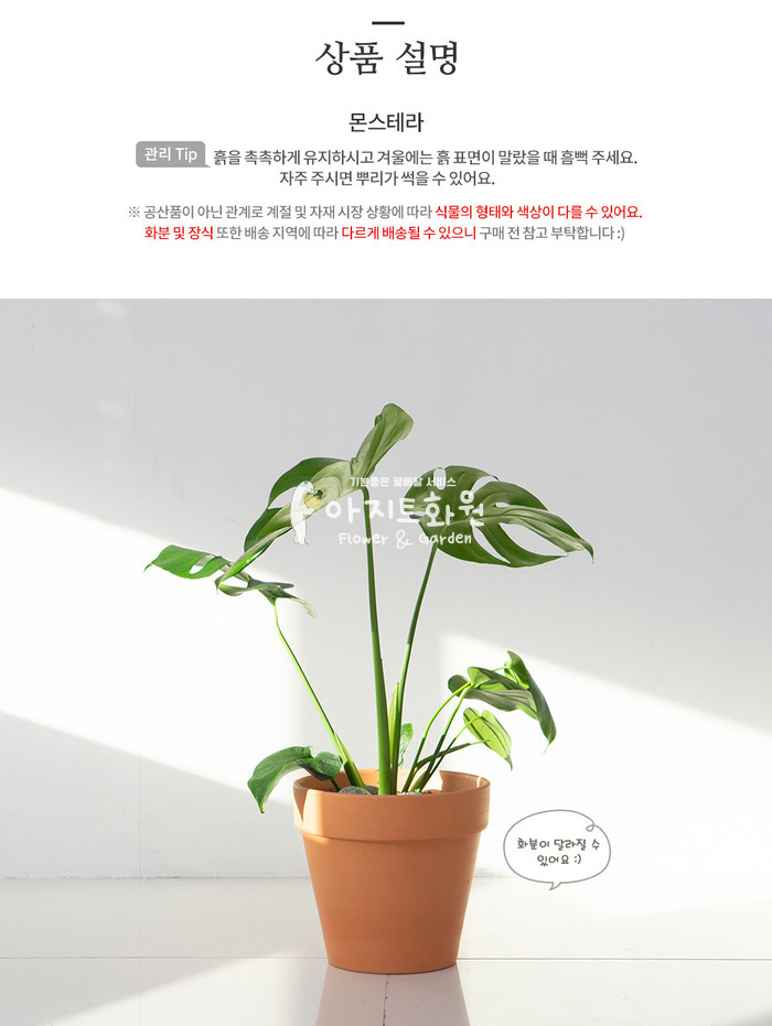 상세이미지