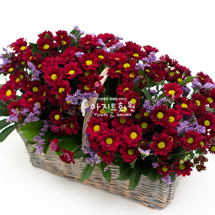 상세이미지