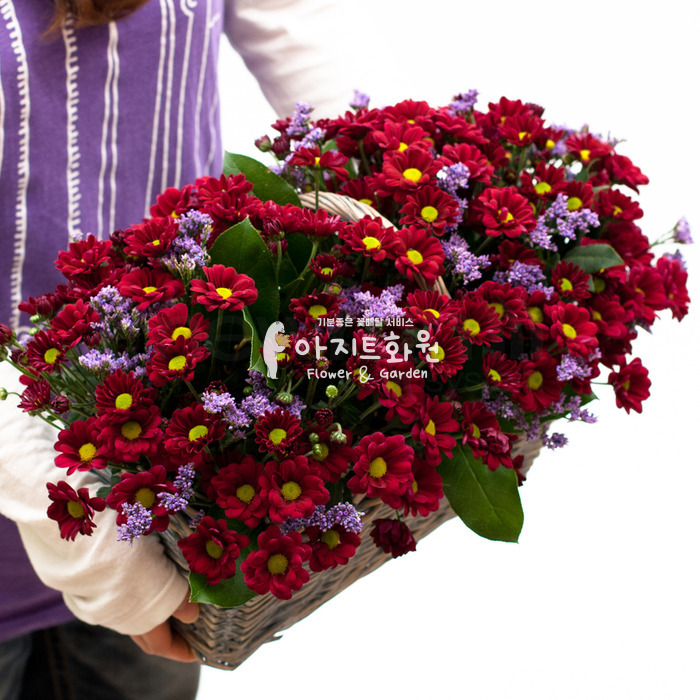 상세이미지