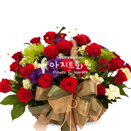 오늘부터..너에게