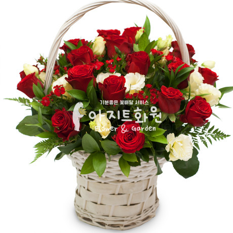 마음을 드려요♡