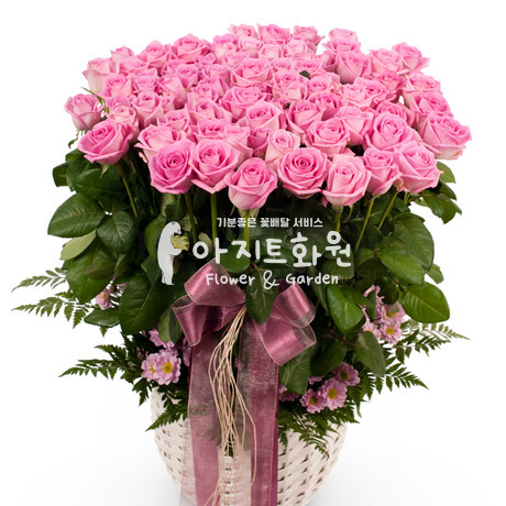 햇살같은 너