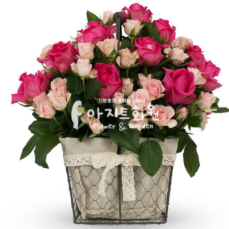 달콤한하루