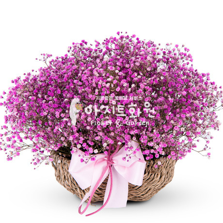 영원히 그대 곁에