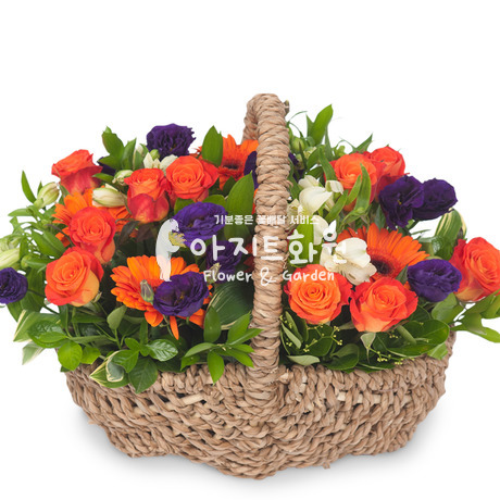 오렌지 마말레이드
