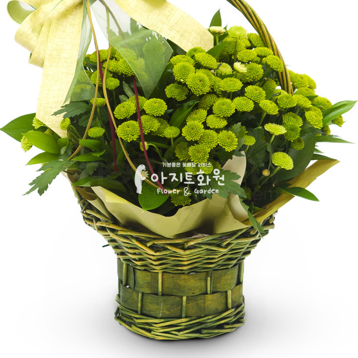 상세이미지