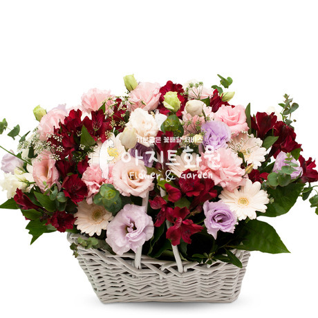 꽃향기 가득