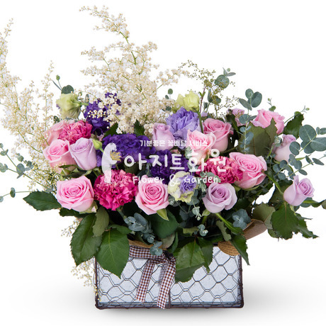 사랑의 바보
