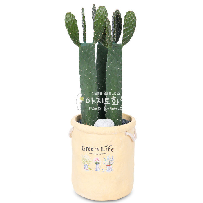 상세이미지