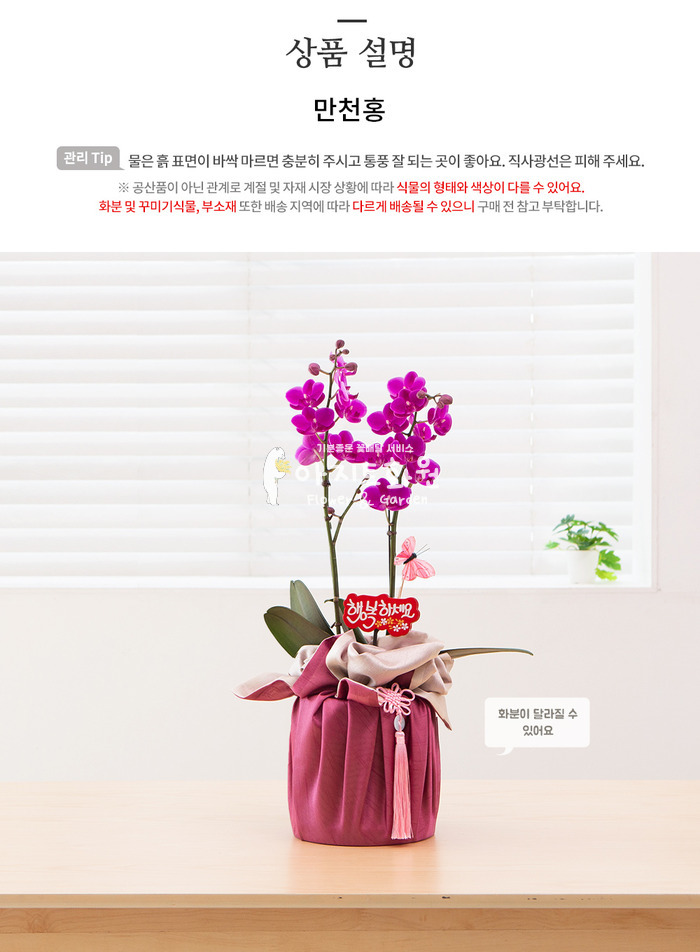 상세이미지
