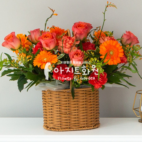 너와 난 운명이야