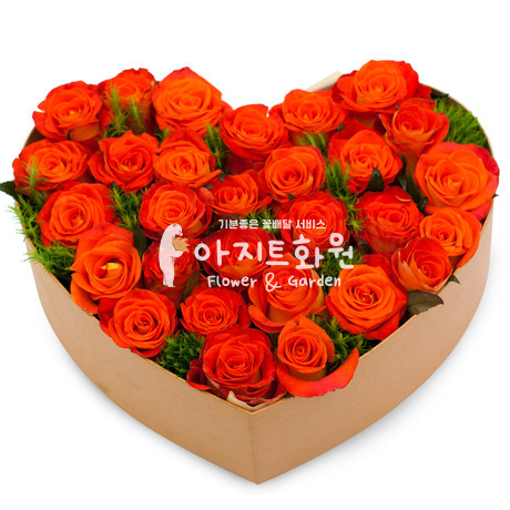 오렌지 사랑