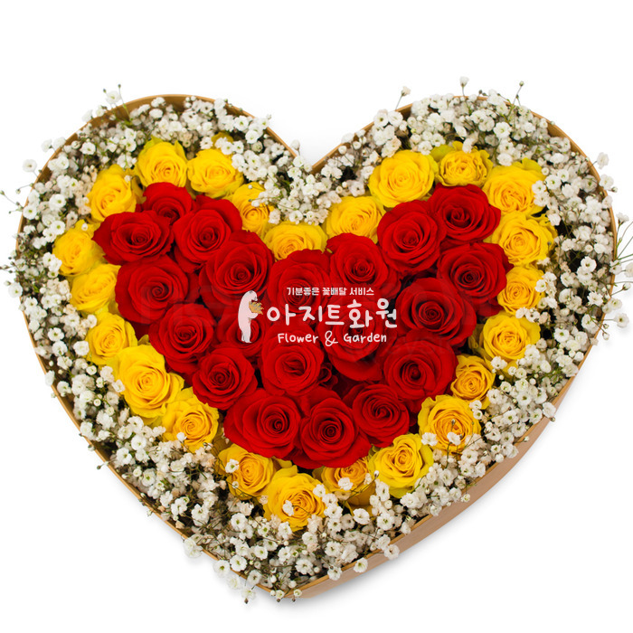 상세이미지