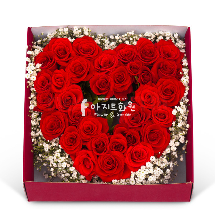 상세이미지