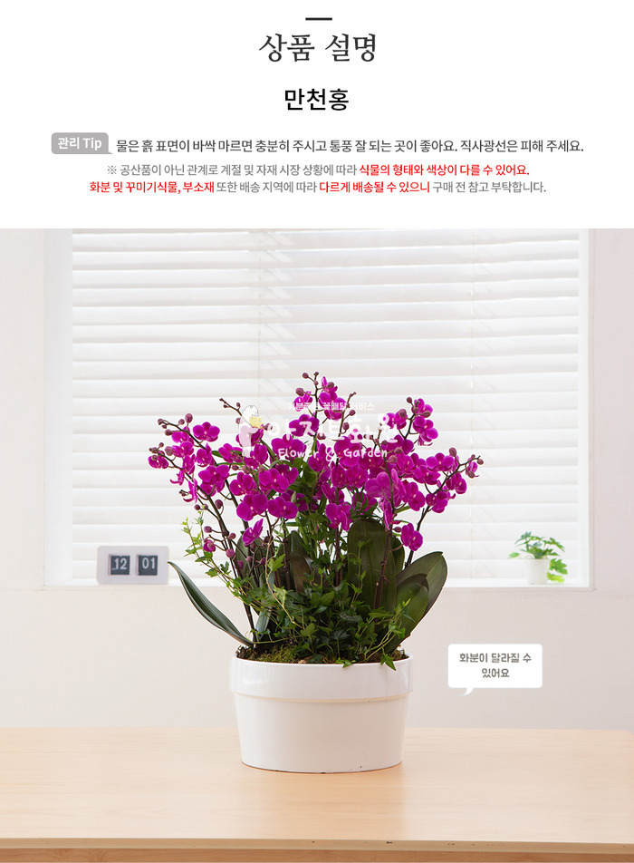 상세이미지