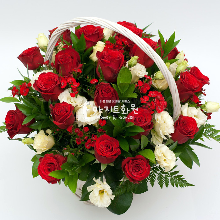 상세이미지