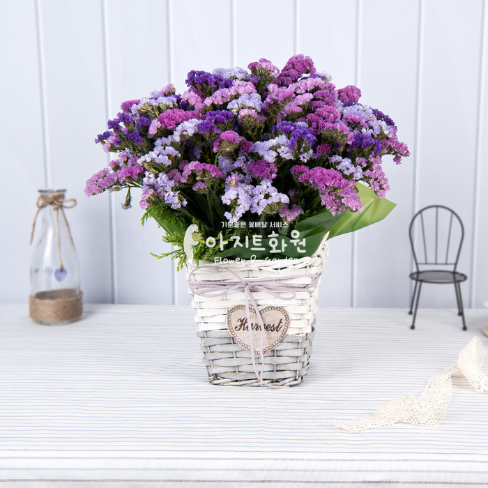 상세이미지