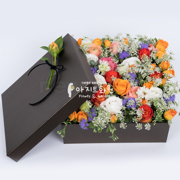 상세이미지