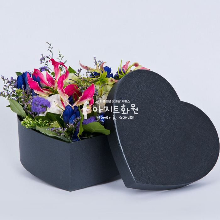상세이미지