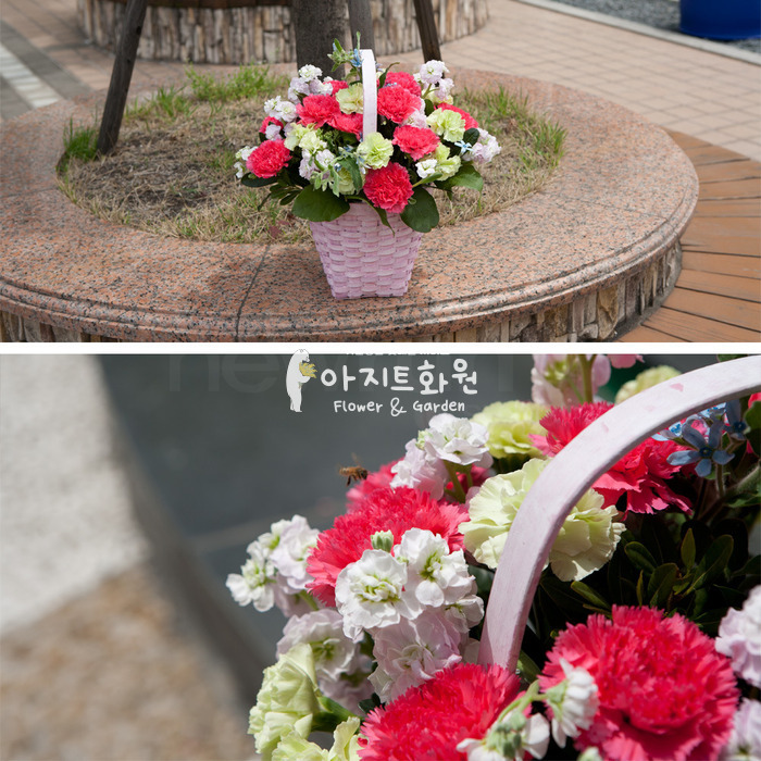 상세이미지