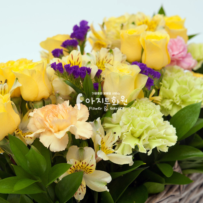 상세이미지