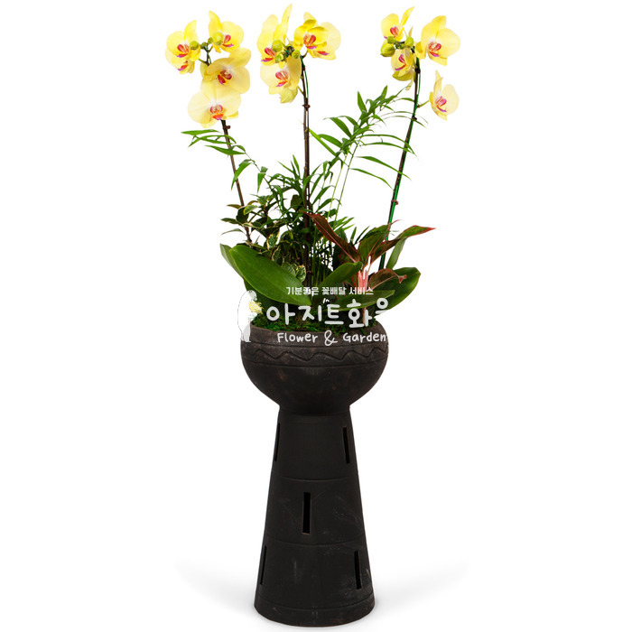 상세이미지