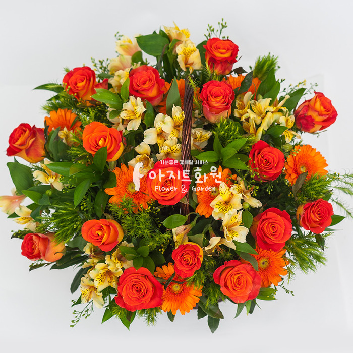 상세이미지