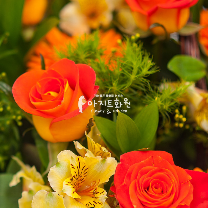 상세이미지