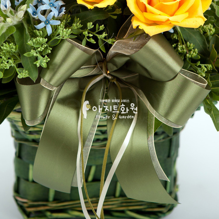 상세이미지