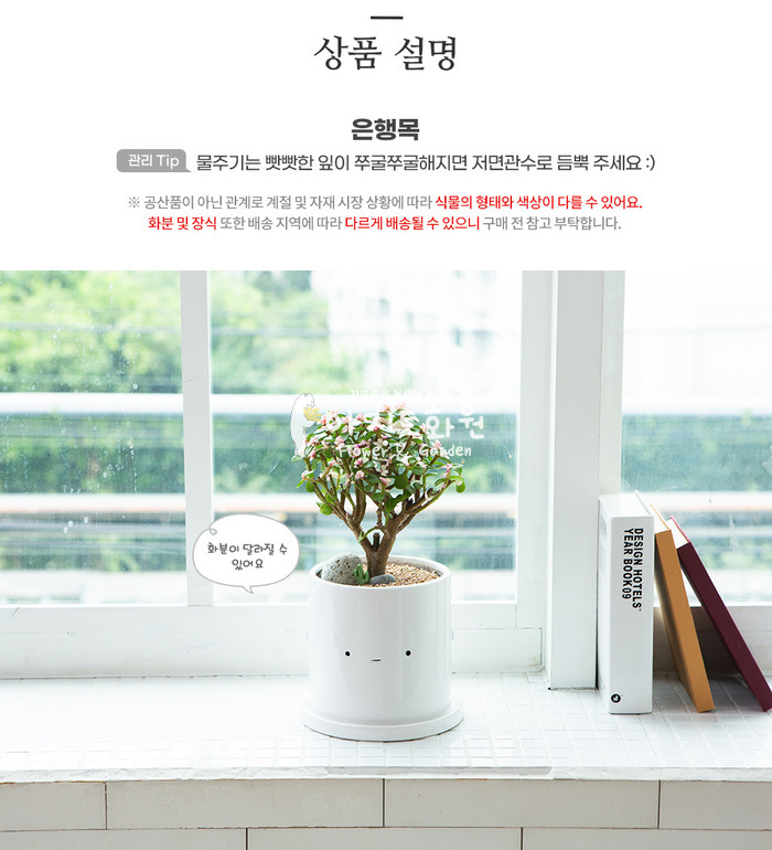 상세이미지