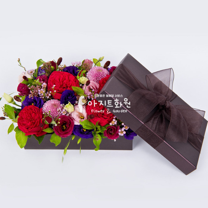 상세이미지